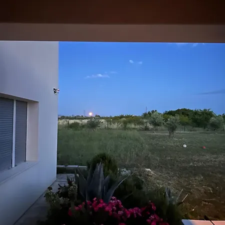 Vila Kotari